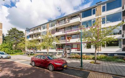 Ridderspoor. 75