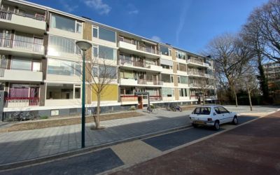Ridderspoor. 91