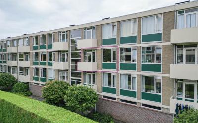 Kamperfoeli. 15