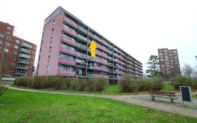 Peppelschans 52