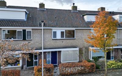 Scholeksterstraat 7
