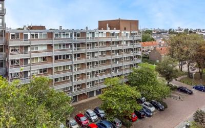 Roodborststraat 10