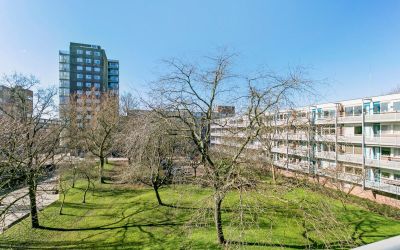 Koolmeesstr. 12