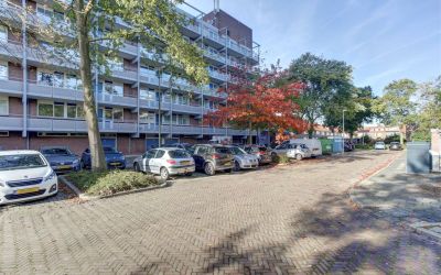 Koolmeesstr. 5