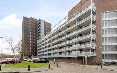 Merelstraat 19