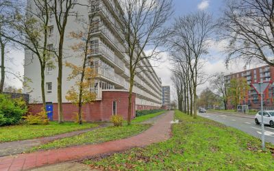 Merelstraat 210