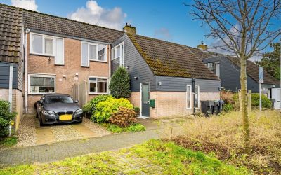 Dotterbloem. 83
