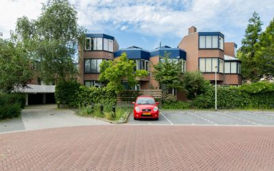 Dotterbloem. 22