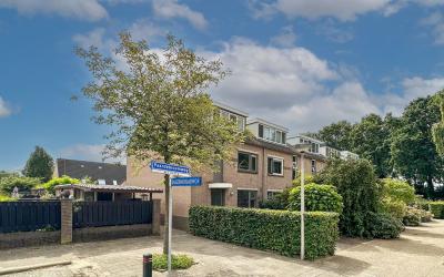 Paardebloem. 10