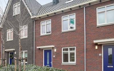 Sleutelbloem 50