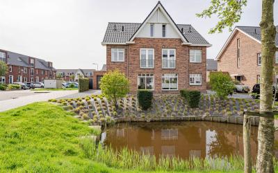 Sleutelbloem 17