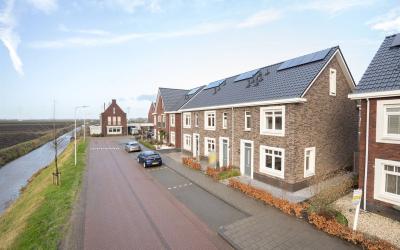 Wilgenroos 17