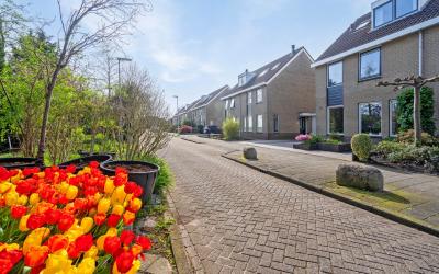 Jeltje de B. 155