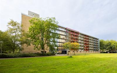 Argostraat 154