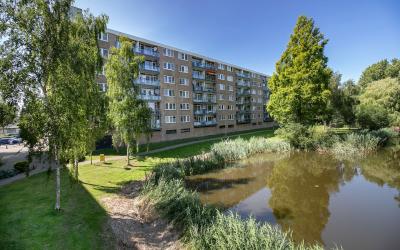 Argostraat 204