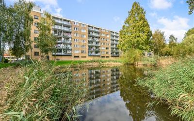 Argostraat 210