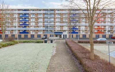 Argostraat 216
