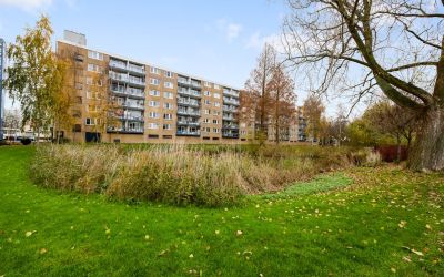 Argostraat 336