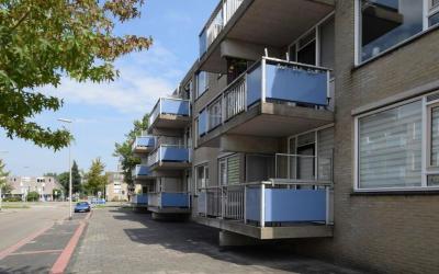 Tsarenhof 113