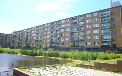 Plutostraat 60