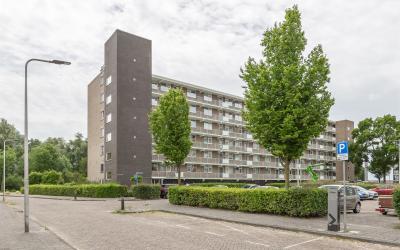 Briljantstr. 502