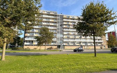 Lupinesingel 266