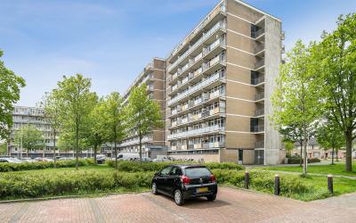 Lupinesingel 314