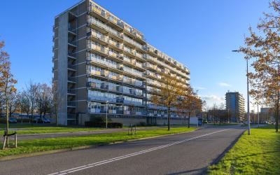Lupinesingel 322-A