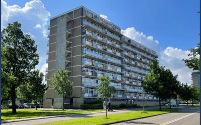 Lupinesingel 334