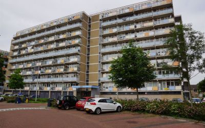 Lupinesingel 346