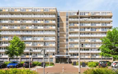 Lupinesingel 350