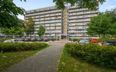 Lupinesingel 366