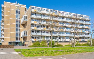 Lupinesingel 394