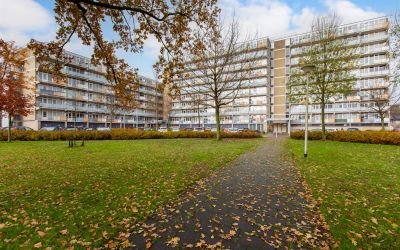 Lupinesingel 418