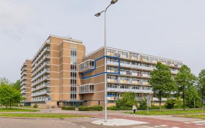 Lupinesingel 426