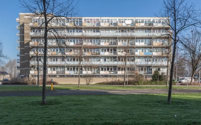 Lupinesingel 430