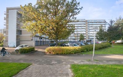 Lupinesingel 452