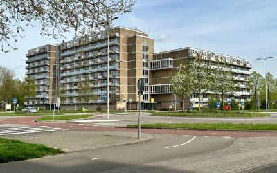 Lupinesingel 456
