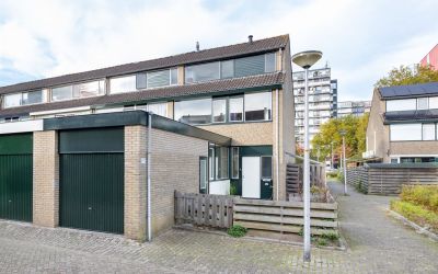 Lupinesingel 494