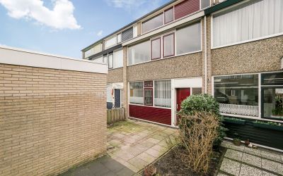 Lupinesingel 498