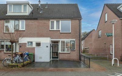 Honingzwam 36