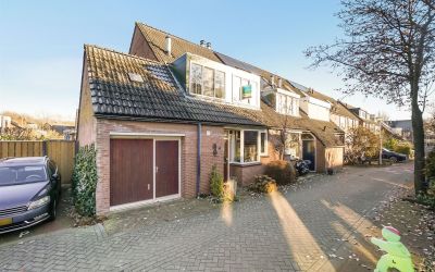 Koningsmant. 1