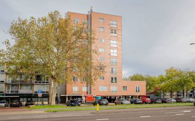 Stadhouders. 113