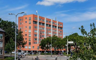 Stadhouders. 13