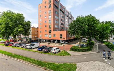 Stadhouders. 37