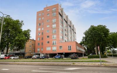 Stadhouders. 7