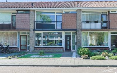 Goudenregen. 21
