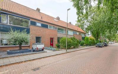 Goudenregen. 9