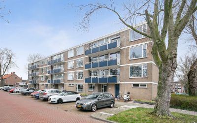 Goudenregen. 16