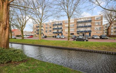 Goudenregen. 28